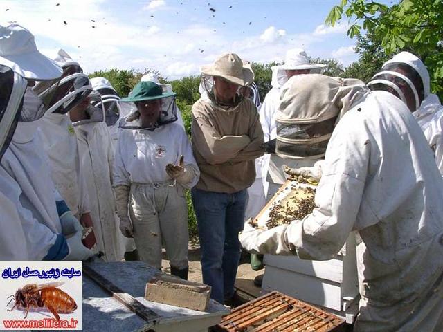 بازديد فصل بهار در زنبورستان